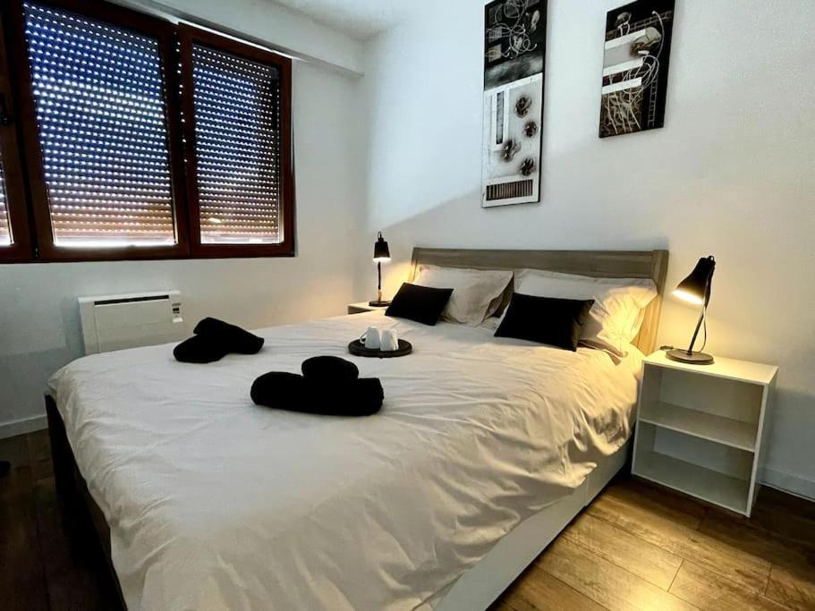 Apartament Coccon, Tv, Wifi Albertville Zewnętrze zdjęcie